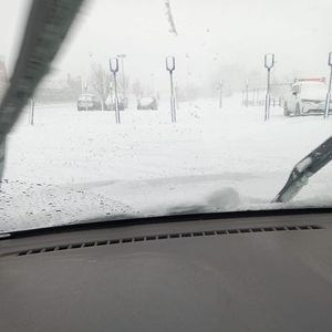 Meet your Posher, Barb